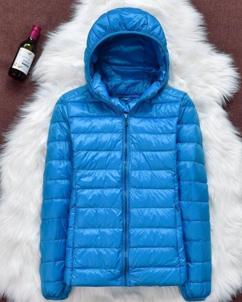 North - Neue wasserdichte Jacke