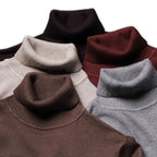 Evan | Herren Rollkragenpullover